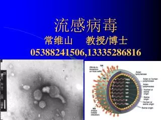 05388241506 13335286816
