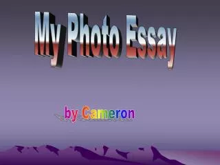 My Photo Essay