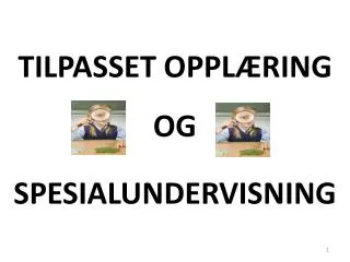 TILPASSET OPPLÆRING OG SPESIALUNDERVISNING