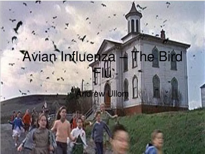 avian influenza the bird flu