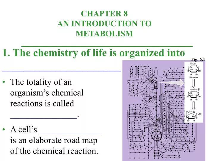 1 the chemistry of life is organized into