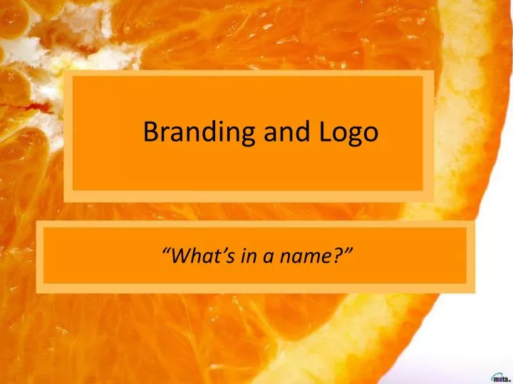 branding and logo