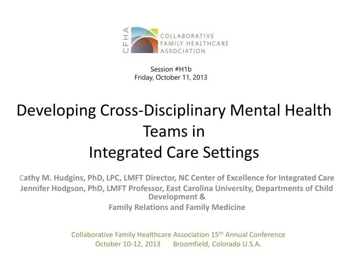 developing cross disciplinary mental health teams in integrated care settings