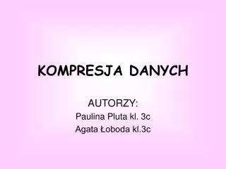 kompresja danych