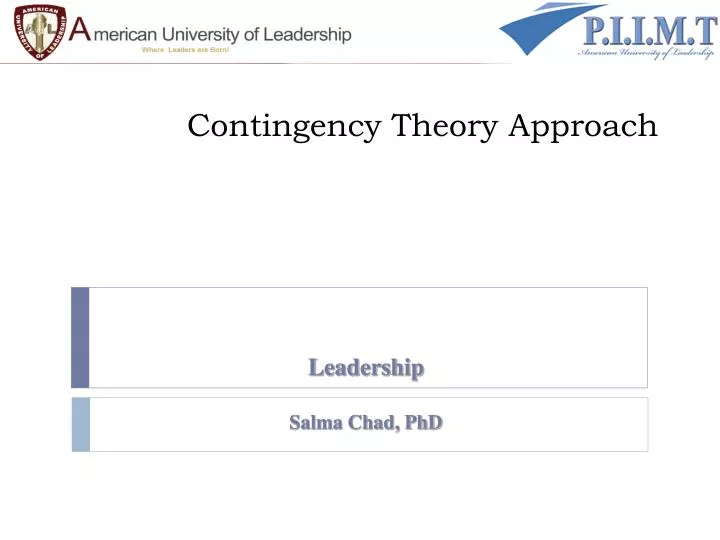 contingency theory approach