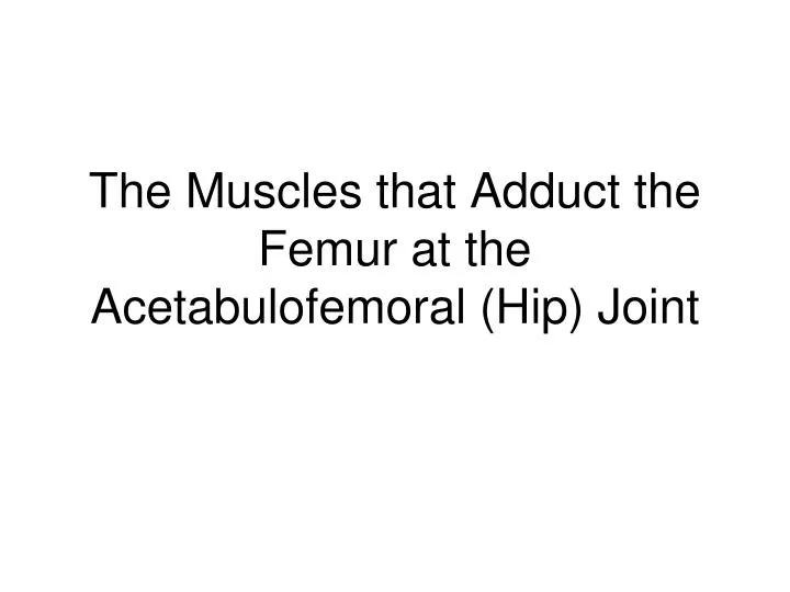 the muscles that adduct the femur at the acetabulofemoral hip joint