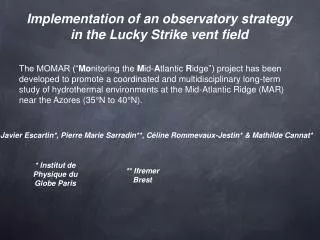 Implementation of an observatory strategy in the Lucky Strike vent field
