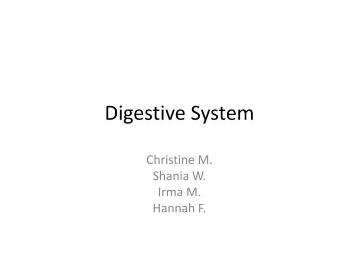 digestive system