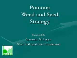 Pomona Weed and Seed Strategy