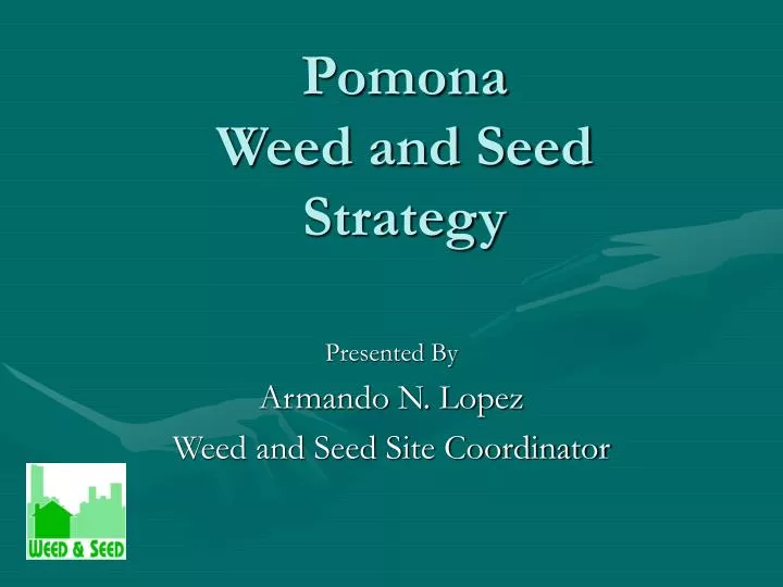 pomona weed and seed strategy