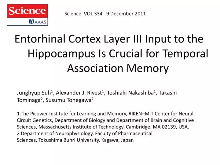 entorhinal cortex layer iii input to the hippocampus is crucial for temporal association memory