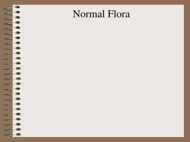 normal flora