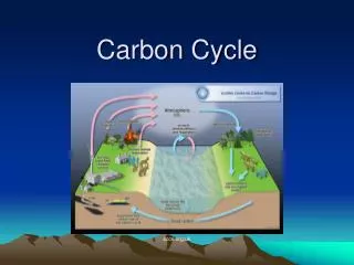 Carbon Cycle