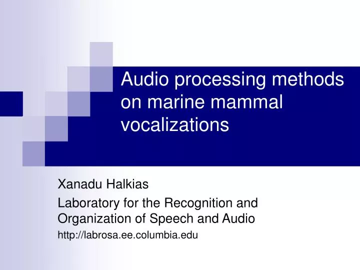 audio processing methods on marine mammal vocalizations