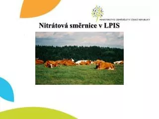 nitr tov sm rnice v lpis