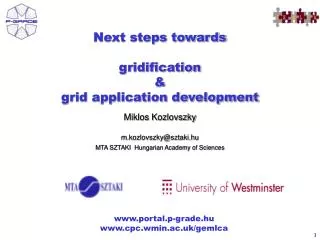 Next steps towards gridification &amp; grid application development