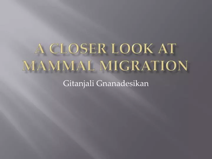 a closer look at mammal migration