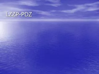 lzzp pdz