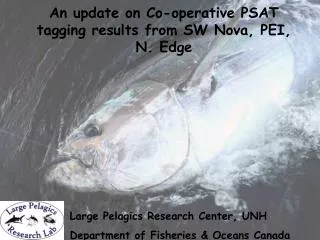 An update on Co-operative PSAT tagging results from SW Nova, PEI, N. Edge