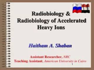 Haitham A. Shaban Assistant Researcher, NRC Teaching Assistant , American University in Cairo