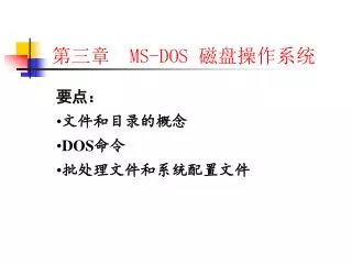 ms dos