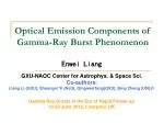 Optical Emission Components of Gamma-Ray Burst Phenomenon
