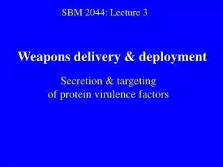 SBM 2044: Lecture 3