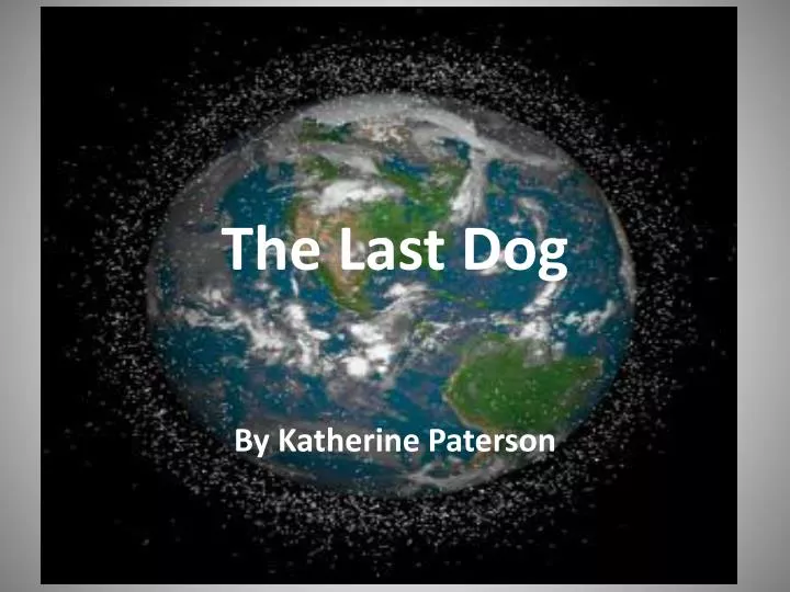 the last dog