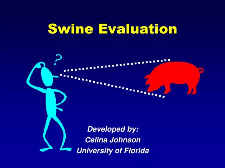 swine evaluation