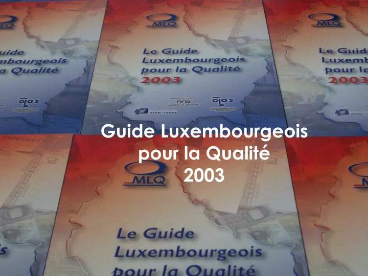 guide luxembourgeois pour la qualit 2003