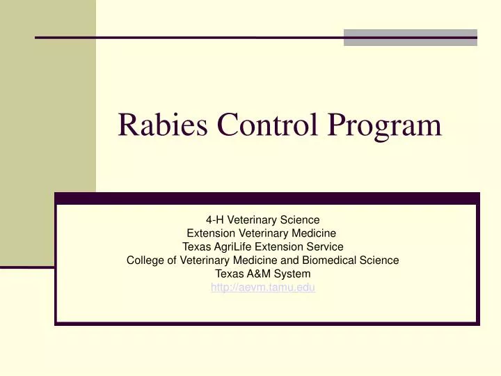rabies control program