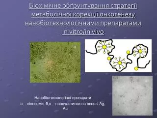 in vitro in vivo