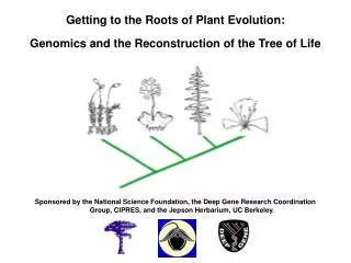 Getting to the Roots of Plant Evolution: Genomics and the Reconstruction of the Tree of Life