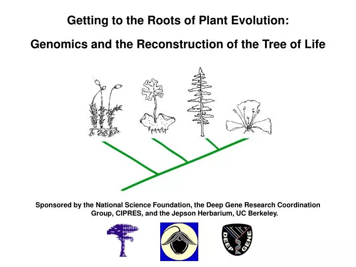 getting to the roots of plant evolution genomics and the reconstruction of the tree of life