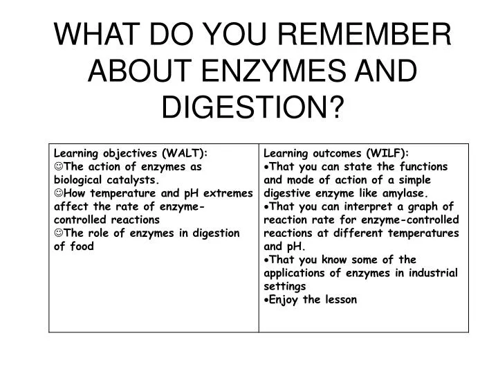 what do you remember about enzymes and digestion