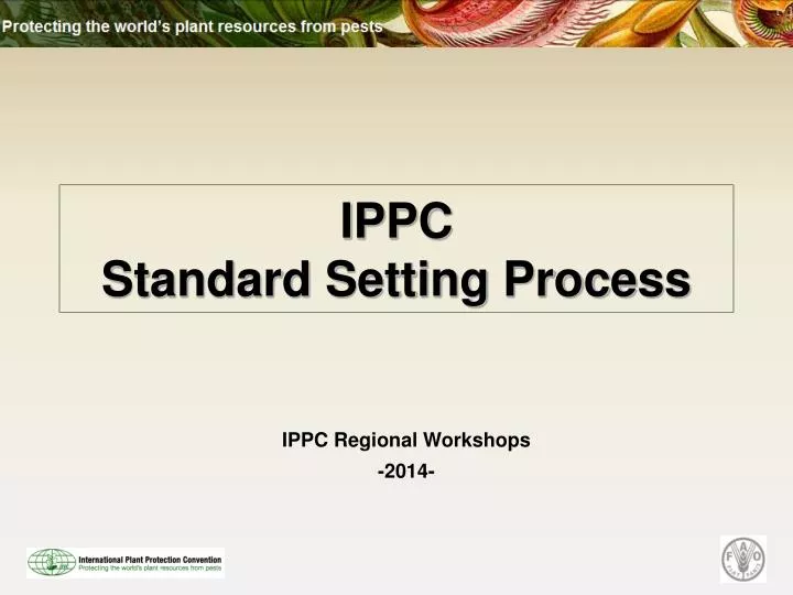ippc standard setting process