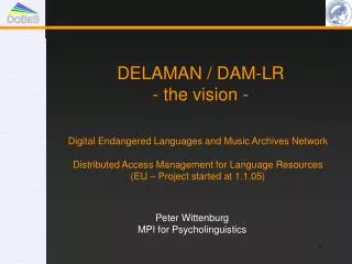 DELAMAN / DAM-LR - the vision -