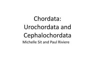 Chordata: Urochordata and Cephalochordata