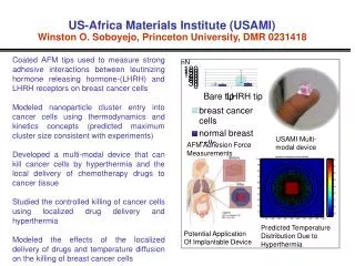 US-Africa Materials Institute (USAMI) Winston O. Soboyejo, Princeton University, DMR 0231418