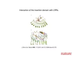 J She et al . Nature 000 , 1 - 5 (2011) doi:10.1038/nature10178