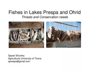Fishes in Lakes Prespa and Ohrid Threats and Conservation needs