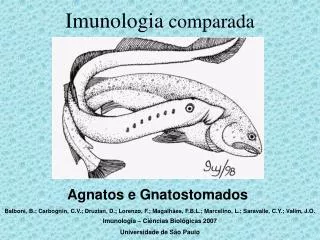 imunologia comparada