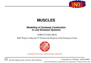 MUSCLES Modelling of Un s teady Combustion in Low Emission Systems