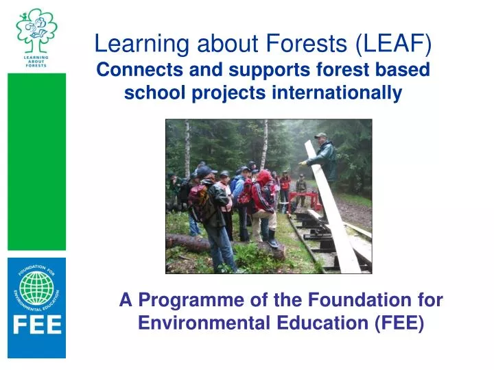 learning about forests leaf connects and supports forest based school projects internationally