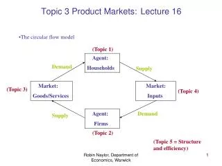 Topic 3 Product Markets: Lecture 16
