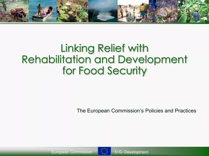 linking relief with rehabilitation and development for food security