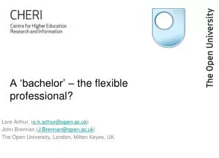 A ‘bachelor’ – the flexible professional?