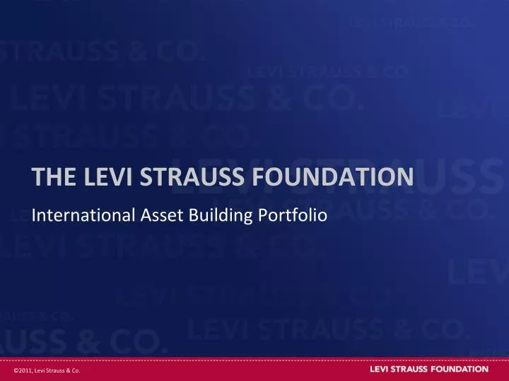 the levi strauss foundation