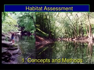 Habitat Assessment