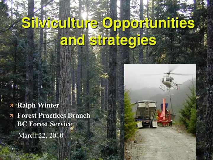 silviculture opportunities and strategies